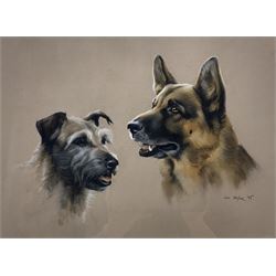 John Naylor (British 1960-): Portrait of Two Dogs, pastel signed and dated '95, 28cm x 38cm
