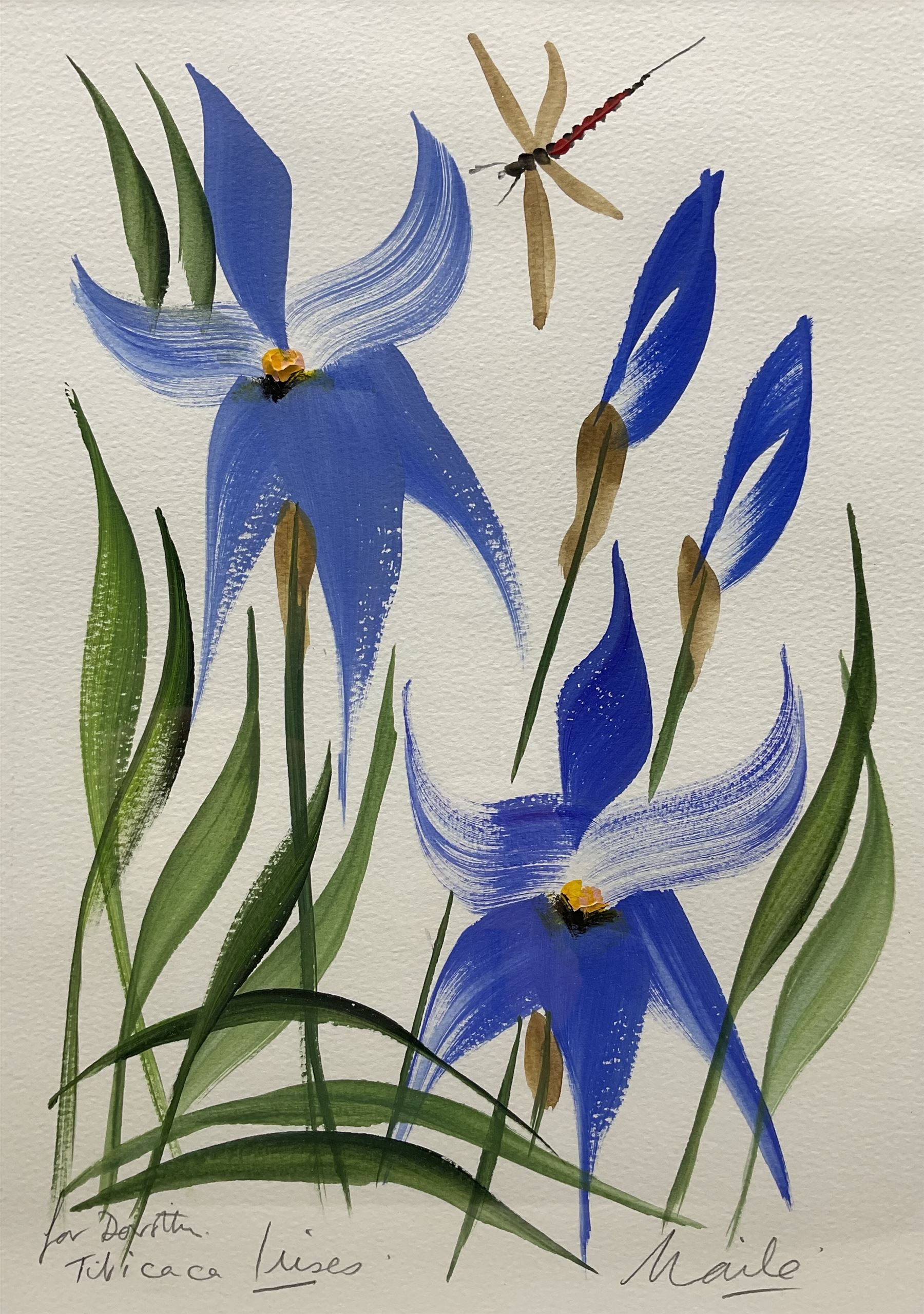 Ben Maile (British 1922-2017): 'Titicaca Iris', gouache signed titled and inscribed 'For Dorothy' 36cm x 25cm 
Provenance: a gift to the vendor from the artist