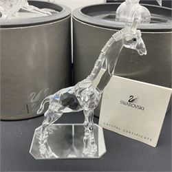 Five Swarovski Crystal figures, comprising giraffe, deer, hummingbird, rose and rearing horse, all with original boxes 