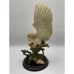 Country Artists ‘The Intruder’ by David Ivey limited edition model, along with ‘Barn Owl with Primroses’ model, with original boxes