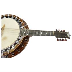 Windsor resonator 8-string Zither Mandolin or Banjolin, manufactured in Newhall street Birmingham, c1930. in a velvet lined hard case.