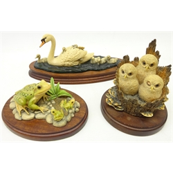  Three Border Fine Arts animal groups comprising Swan and Cygnets L27cm, Owlets and Frog Family (3)  