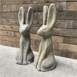 Pair cast stone garden sitting Woody Hares