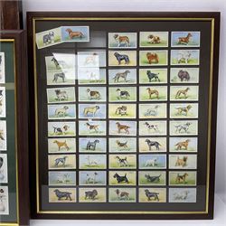 Four mounted and framed sets of cigarette cards comprising Players Game Birds & Wild Fowl; Ogdens British Birds & Their Eggs; Wills Dogs; and reproduction Players Peter Scott's Wildfowl; various frames (4)