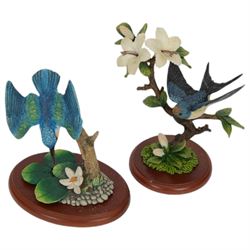 Collection of Border Fine Arts bird figures, including Pheasant No A1475, Golden Eagle No A0658, Swallow No A3457 etc