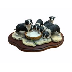 Border fine arts figures, Pick of the litter, model no JH30, by Ray Ayres L26cm, Tug of war, model no JH61, by D Walton H11.5cm and Robin with chicks in boot, model no RB45, by by Ray Ayres H11cm.  