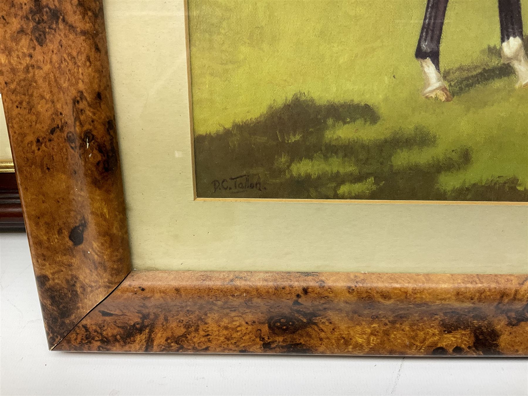 After G Keane (British 20th century): 'Mill Reef' and 'Brigadier Gerard', pair colour prints together with three further prints of Race Horses (5)