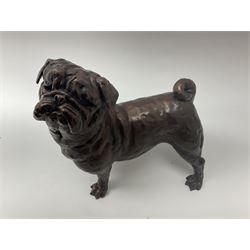 Grant Palmer, cold cast bronze model of a pug, H21.5cm L21cm