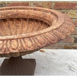 Victorian style cast iron garden urn, with egg and dart moulded rim above a reeded bowl and fluted socle. H27cm, D53cm - COLLECTION BY APPOINTMENT FROM: The White House, Thirsk Road, Easingwold, York, YO61 3NF - CALL 01723 507111 TO ARRANGE
