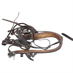 Team four in hand set of brown leather in hand exercise harness, including four collars, pads and bridles with leather blinkers and bits