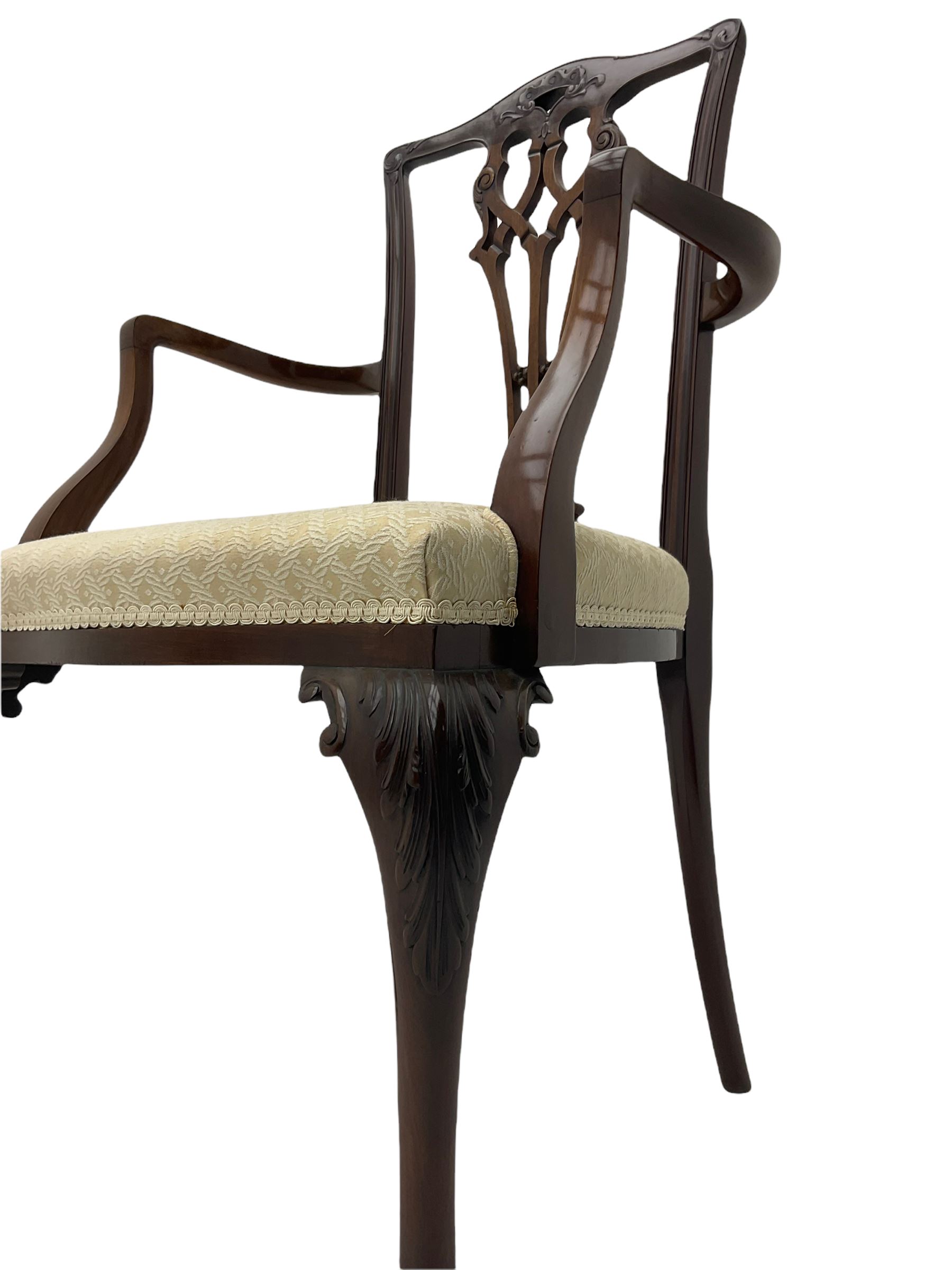 Chippendale design mahogany framed armchair, ball and claw feet, upholstered seat