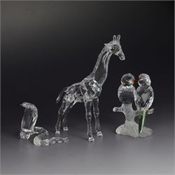 Three Swarovski figures, comprising Giraffe, Cobra and Budgies, all with original boxes  