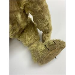 Early 20th century English teddy bear, with wood wool filled body with jointed limbs, felt covered paw pads, five claw stitching to feet and elongated arms with spoon shaped paws H14