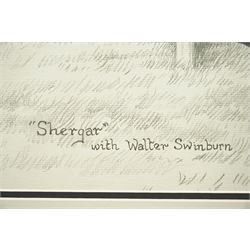 Sue Wingate (British 1947-2016): 'Shergar' with Walter Swinburn, pencil sketch signed titled and dated 1998, 37cm x 51cm; together with a print of 'Cigar' after Fred Stone, signed in pencil, 46cm x 44cm (2)