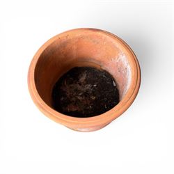 Collection of five terracotta garden planters along with rectangular sandstone trough 