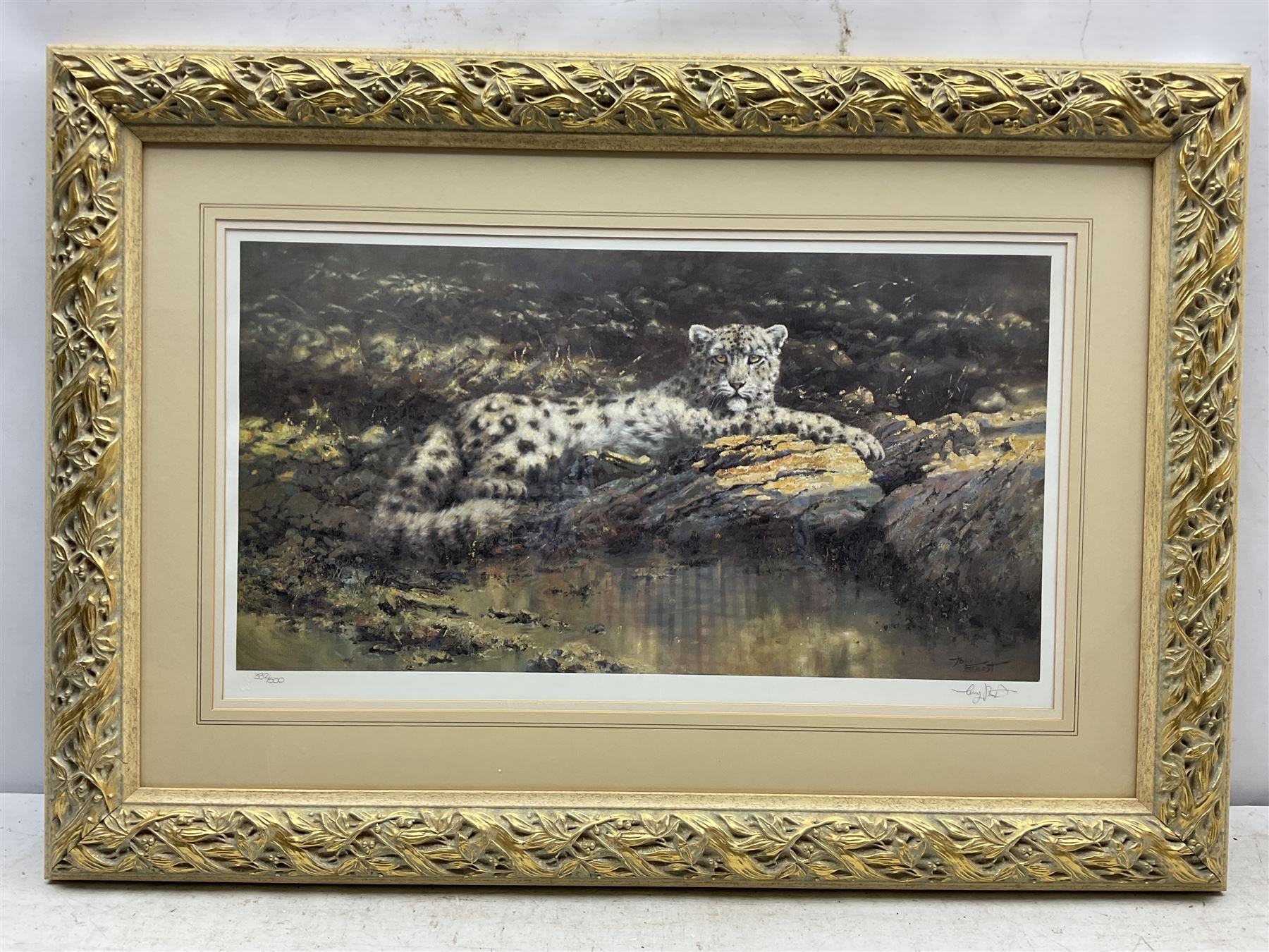 Tony Forrest (British 1961-): 'Watchful Eye' - Snow Leopard, limited edition print signed and numbered 332/500 in pencil 30cm x 57cm in quality modern gilt frame