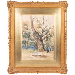 William Bennett (British 1811-1871): The Old Tree, watercolour signed 40cm x 29cm