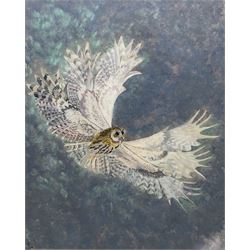 Susan Cameron (British Contemporary): Owl in Flight, gouache signed ‘82, 59cm x 47cm 