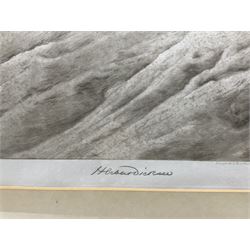 Herbert Thomas Dicksee (English 1862-1942): 'Stealth' - A Leopard, drypoint etching signed in pencil, initialled and dated 1914 in the plate 50cm x 71cm