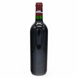 Chateau Lafite Rothschild 1995 Pauillac, 75cl, 13% vol 
