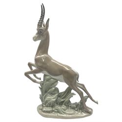 Lladro figure, Gazelle, modelled as a leaping gazelle, sculpted by Vincente Martinez, with original box, no 5271, year issued 1985, year retired 1988, H33cm