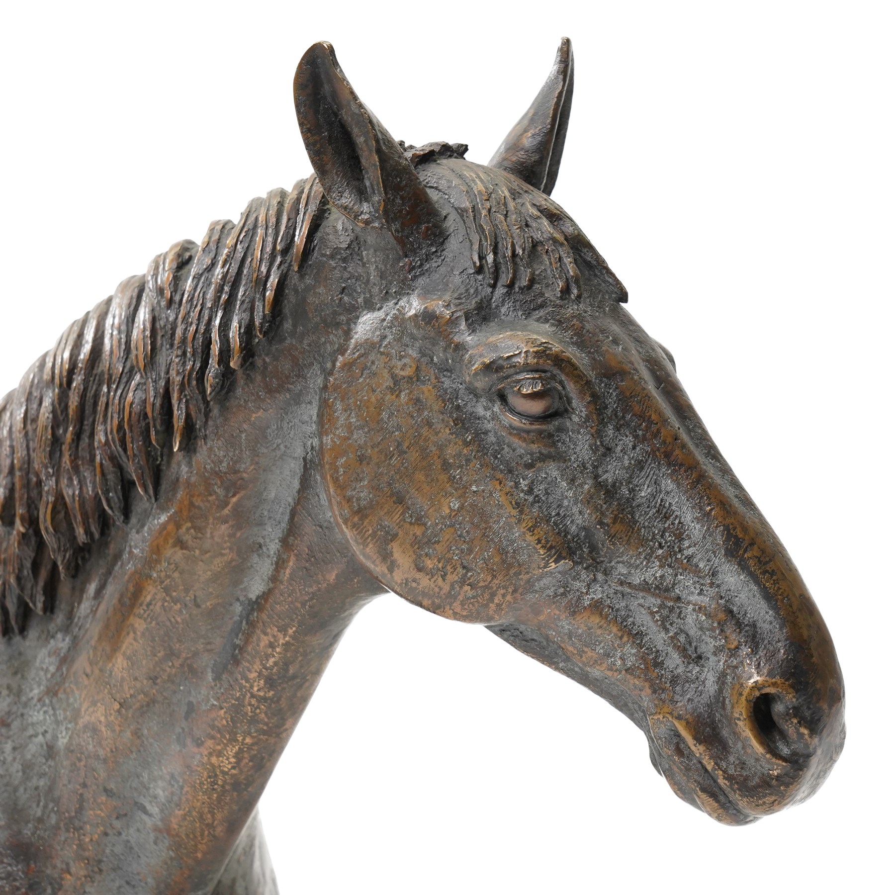 Sally Arnup FRBS ARCA (1930-2015): Study of Horse's Head, bronze, signed and numbered I/X, mounted on white marble base, including base H30.5cm 