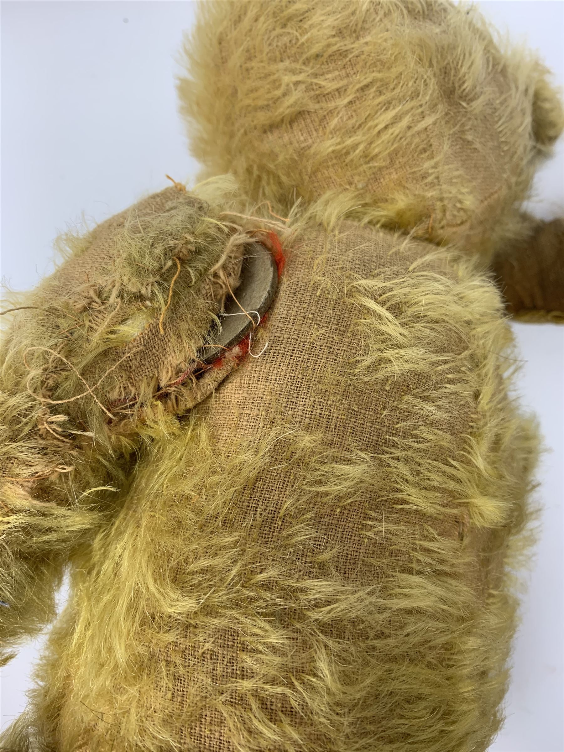 Early 20th century cinnamon coloured bear c1920, possibly continental, with unusual hedgehog styled head/face, swivel jointed head, wood wool filled body with jointed limbs, five claw stitches to feet  and inoperative growler mechanism H16