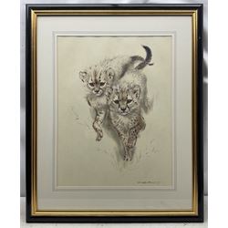 Ralph Thompson (British 1913-2009): 'Flat Rock' and 'Cheetah Kitten', two limited edition prints signed and numbered in pencil; Archibald Thorburn (Scottish 1860-1935): The Early Flight, limited edition print signed and numbered in pencil, max 55cm x 80cm (3)
