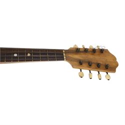 Early 20th century Italian bowl back mandolin, with bone tuners and faux tortoiseshell tailpiece, in hard carry case