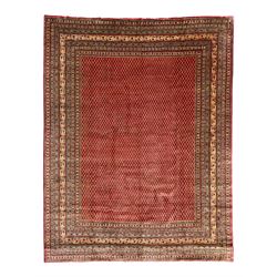 Persian Arak crimson ground carpet, the field decorated profusely with small repeating Boteh motifs, enclosed by multiple border bands decorated with repeating geometric and hook motifs