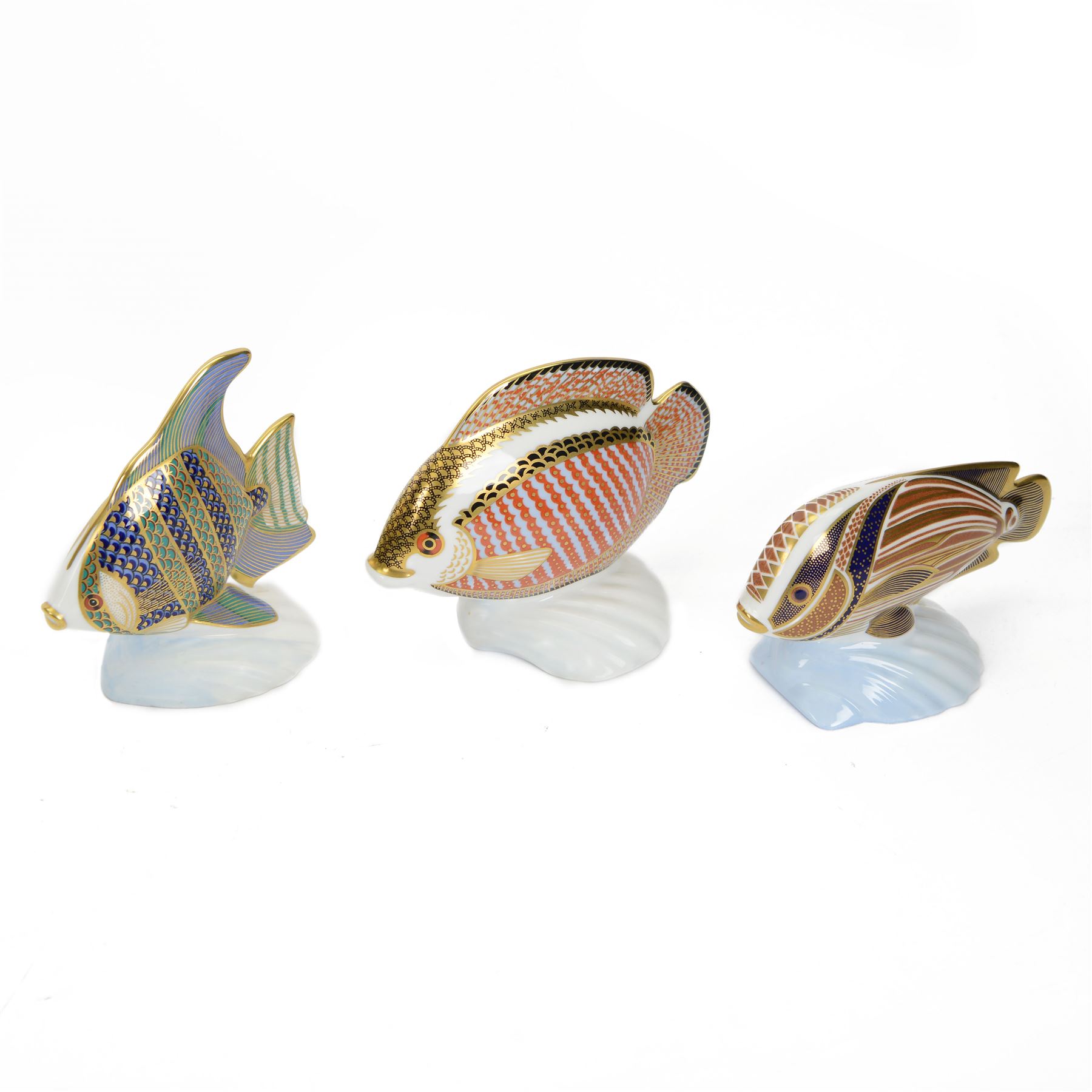 Three Royal Crown Derby Tropical Fish paperweights, comprising Angel Fish, Sweetlips and Gourami, all with gold stoppers and boxes