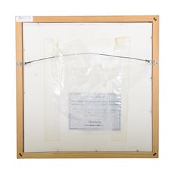 The Eagles The Long Run signed album sleeve, framed with certificate of authenticity, H46cm 