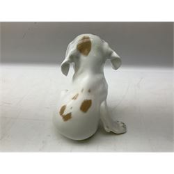 Royal Copenhagen figure of a pointer puppy, modelled seated with rare white and brown patch colourway, designed by Erik Nielsen, model no 259, date code for 1889-1922, with printed and painted marks beneath, H19cm