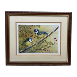 Rober E Fuller (British 1972-): Blue Tits,  Limited Edition Signed Print.

Robert E Fuller is one of Britain’s foremost wildlife artists. He paints in acrylics and oils, favouring a highly-detailed realistic style. His original paintings are painted from photographs taken in situ.
