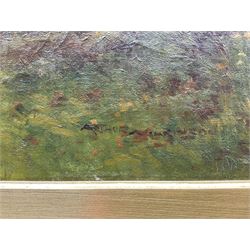 Arthur Stanley Wilkinson (British 1860-1930): 'Devonshire Pastures by the Sea near Clovelly', oil on canvas signed, original title label verso 40cm x 60cm