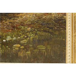 J Morris (British 19th century): Cows Grazing in a River, oil on canvas signed 29cm x 50cm; English School (19th century): Family of Birds, oil on canvas unsigned 32cm x 22cm (2)