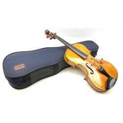 1920s continental large viola with 42cm two-piece maple back and ribs and wide grain sprucewood top with guarnerie sound holes, bears label 'Werner Alajos Budapest', overall length 69cm; in modern carrying case