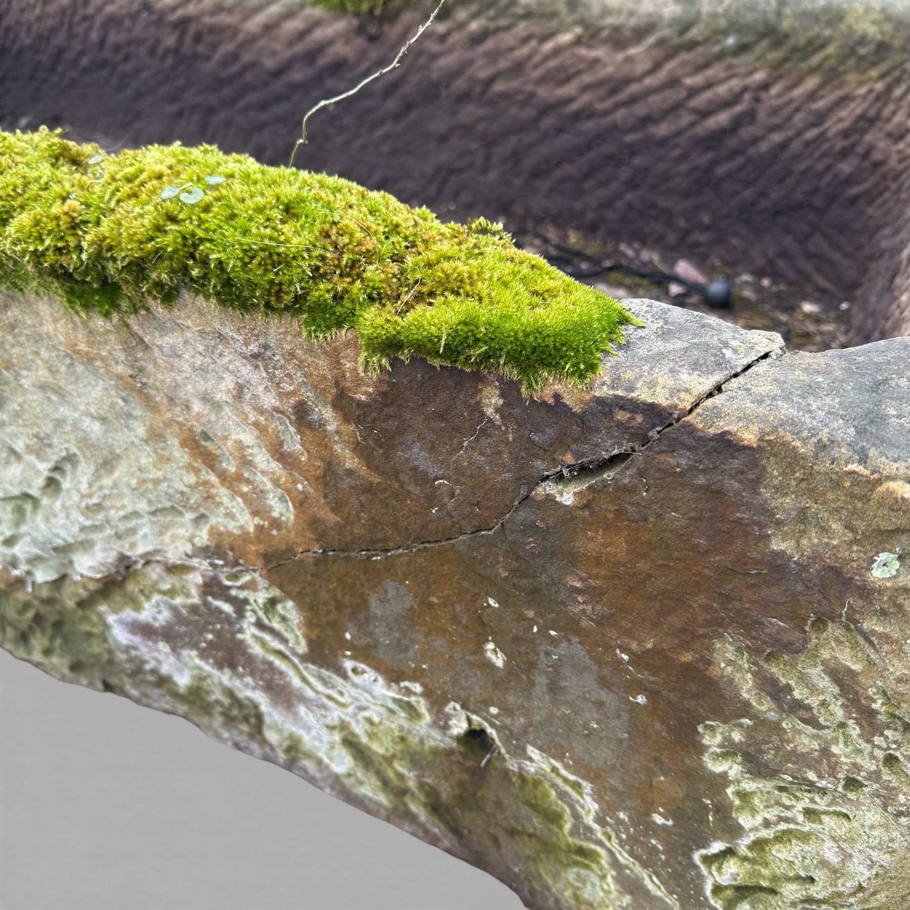 19th century stone water trough