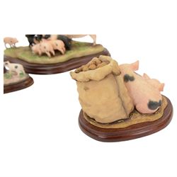 Eight Border Fine Arts pig figures, including Leave Some for Me, model A9792, Upsetting the Apple Cart, model A7935, Hog Heaven, model A1015 etc