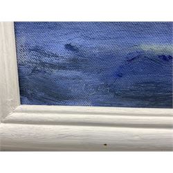 Neil Tyler (British 1945-): 'Southern France - A Calanque somewhere between Cassis and Marseilles', oil on canvas signed, titled verso 50cm x 75cm