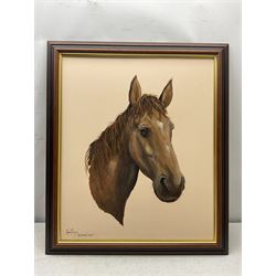 Adrian Thompson (British 1960-): My Beloved 'Candy' - Portrait of a Horse, oil on canvas signed and titled 60cm x 50cm