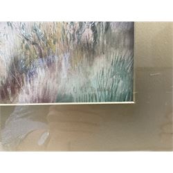 Charles Henry Clifford Baldwyn (British 1859-1943): River Landscape with Church, watercolour signed 30cm x 45cm 
Notes: Baldwyn was a Worcester artist, starting work at the Royal Worcester porcelain factory at the age of 15. He was most famous for his beautiful paintings of swans in flight.