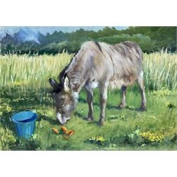 Iris Collett (British 1938-): Donkey Grazing, oil on board signed 40cm x 57cm
Provenance: from the second and final part of the artist's studio sale collection