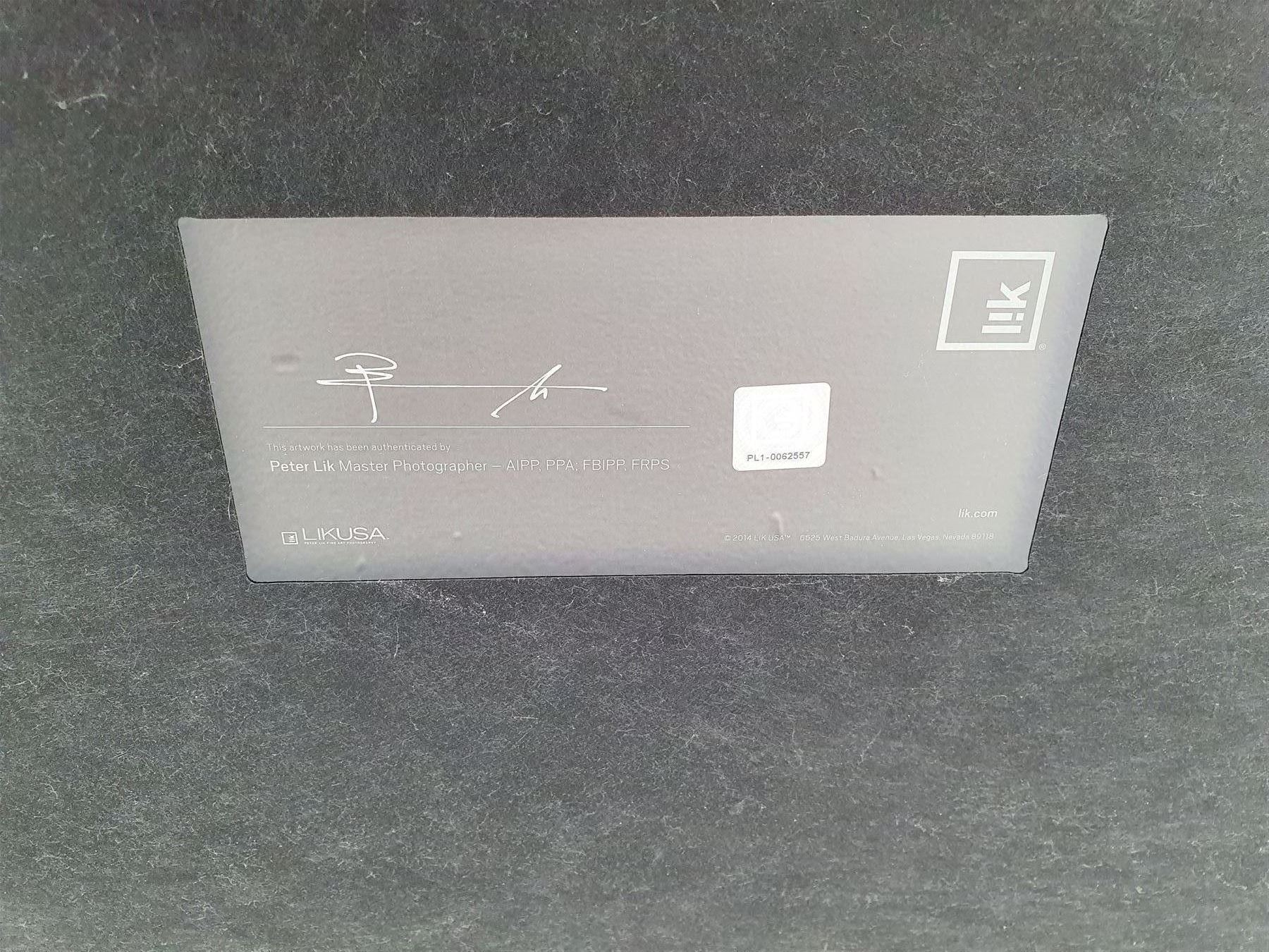 Peter Lik (Australian 1959-): 'Stargazer', limited edition ilfochrome photoprint signed and numbered 189/950, 67cm x 46cm