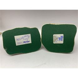 Thirteen Lilliput Lanes from the Shops Collection, including Apothecary, Horologist, China Shop, Penny Sweets, H Samuel etc, all with deeds and original boxes 