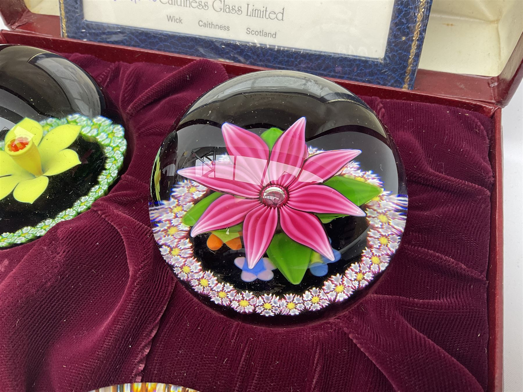 Set of four Caithness paperweights titled Four Seasons, in presentation box with certificate, designed by Colin Terris and made by William Mason, each internally decorated with a seasonal flower within a millefiori cane work garland, numbered 128 of 500