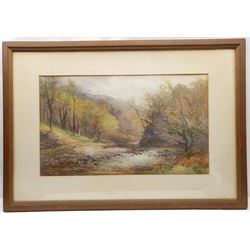 JW (British 19th/20th century): 'In The Gorge Lydford Dartmoor', watercolour signed with monogram, titled on label verso 74cm x 44cm