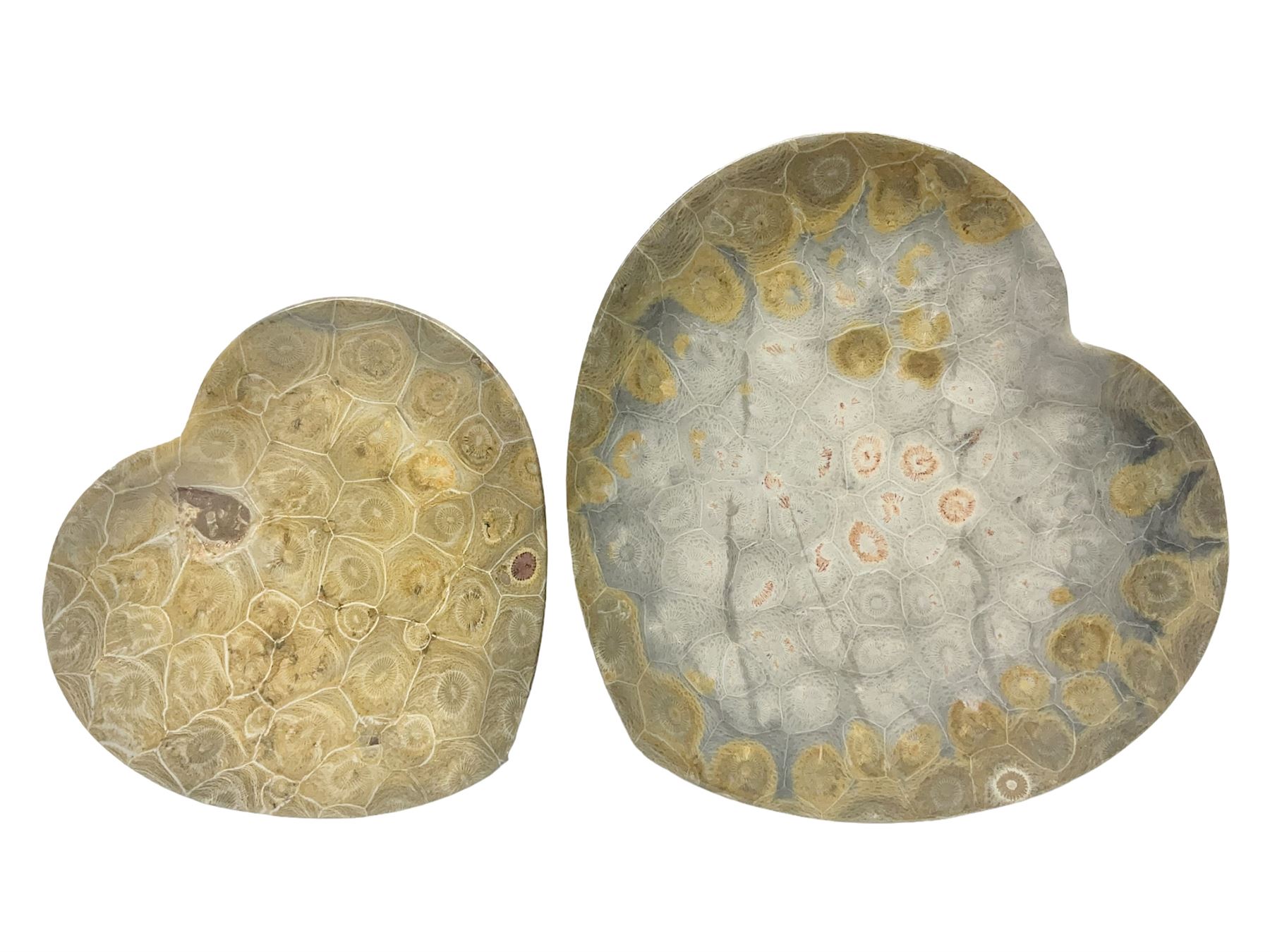 Two graduating fossilised coral dish in the form of hearts, largest D16cm