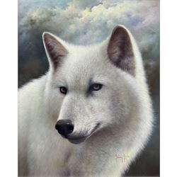 Johnny Gaston (British 1955-): The White Wolf, acrylic on panel signed 49cm x 39cm
