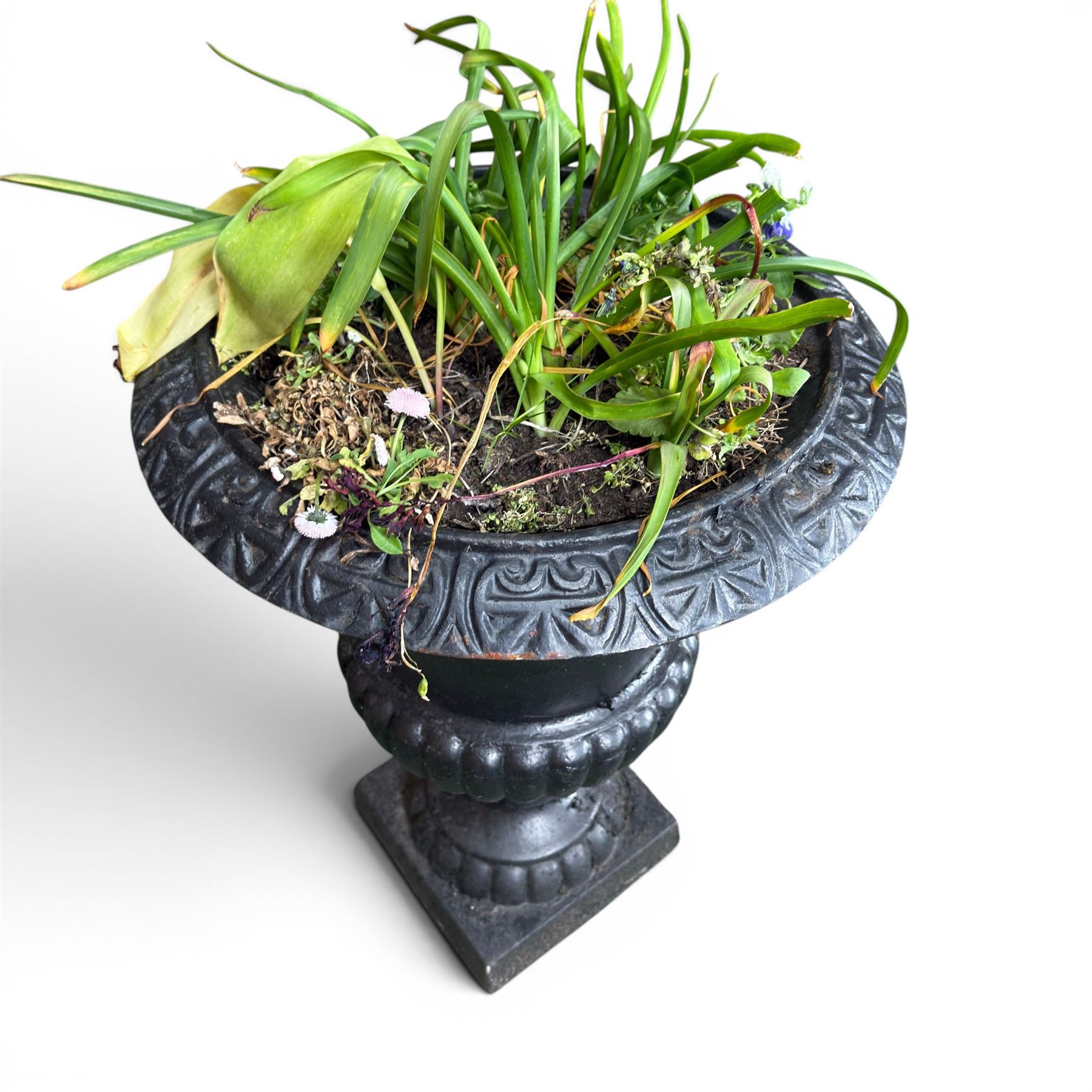Victorian design cast iron garden centrepiece urn, egg and dart rim on tapering column, square plinth base, planted